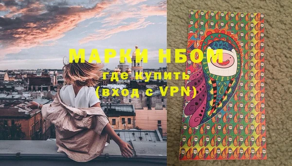 сатива Алексеевка
