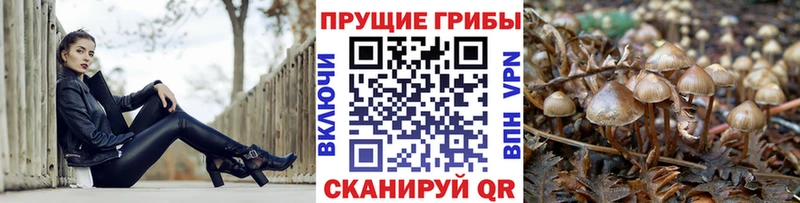 Псилоцибиновые грибы ЛСД Одинцово