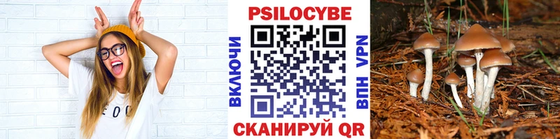 Галлюциногенные грибы Cubensis  Одинцово 