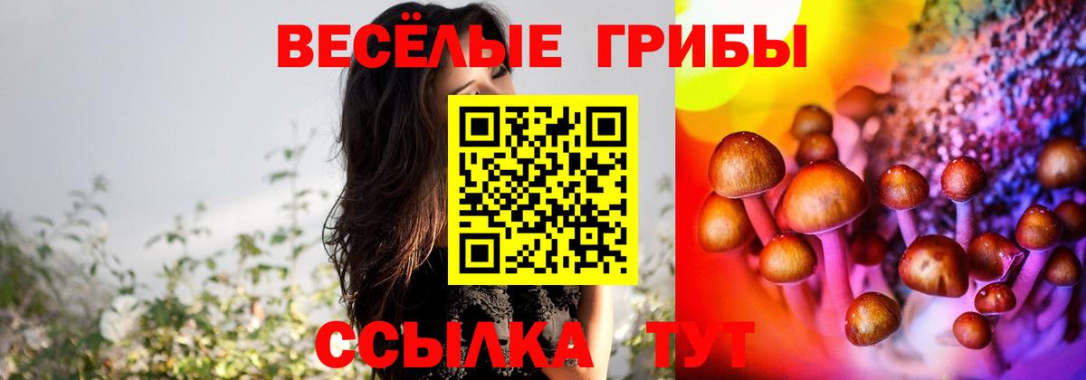 Галлюциногенные грибы GOLDEN TEACHER  Псилоцибиновые грибы ЛСД  Одинцово  Вход с VPN 