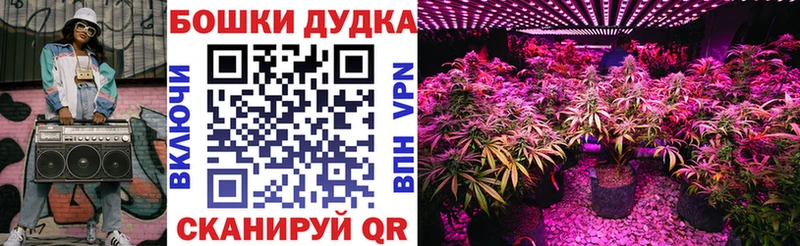 Бошки марихуана Amnesia  ссылка на мегу ТОР  Одинцово 